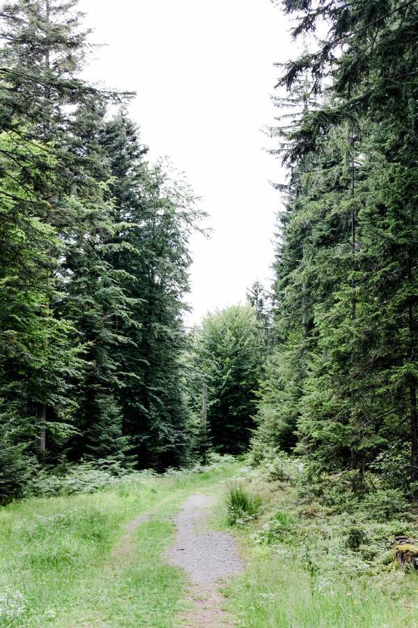4-Zimmer-Ferienwohnung Waldbluemle Dobel Exteriör bild